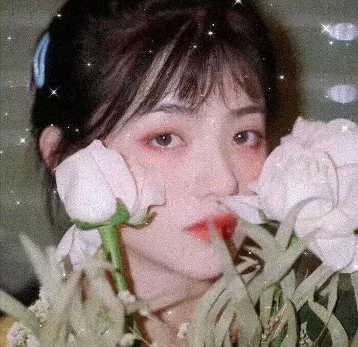 嫉妒是我的力量